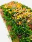 Preview: Graved Salmon "Spring" with dill, pink berries, saffron flowers, cornflower blossoms, orange peel 1.1kg