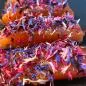 Preview: Gravlax with organic alpine flowers from South Tyrol