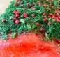Preview: Stained (graved) salmon trout with fresh dill and pink berries