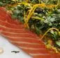 Preview: Salmon marinated with orange, ginger and coriander