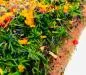 Preview: Graved Salmon "Spring" with dill, pink berries, saffron flowers, cornflower blossoms, orange peel 1.1kg