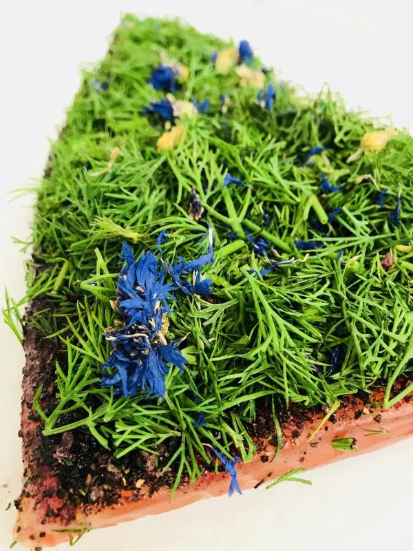 Graved Lachs (gebeizter Lachs) Nordic Arctic