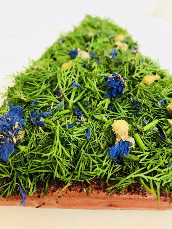 Graved Lachs (gebeizter Lachs) Nordic Arctic