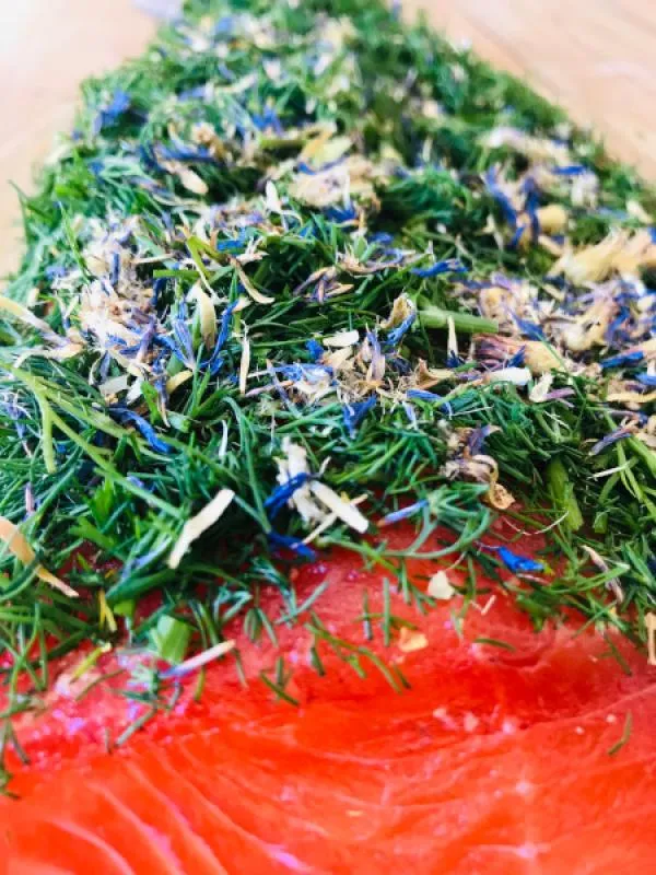 Gebeizte Fjordforelle NORDIC Arctic – 1 kg – Hamburger Fischwerker