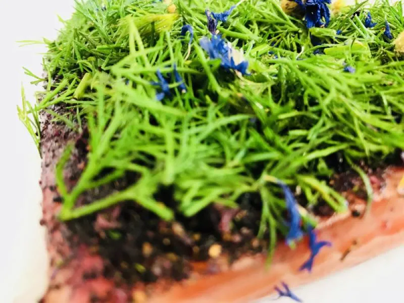 Graved Lachs (gebeizter Lachs) Nordic Arctic