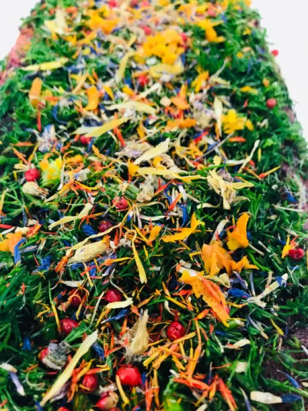 Graved Salmon "Spring" with dill, pink berries, saffron flowers, cornflower blossoms, orange peel 300g