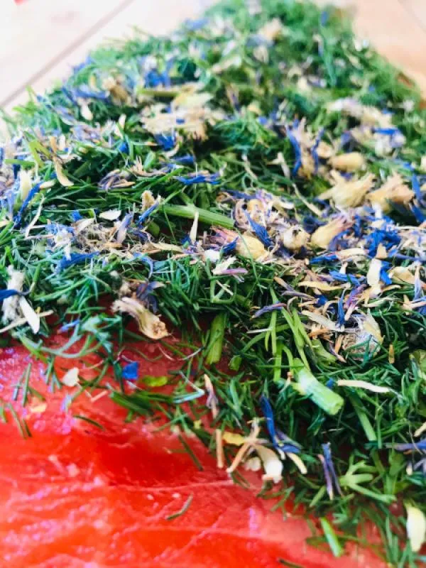 GGebeizte Fjordforelle NORDIC Arctic – 1 kg – Hamburger Fischwerker