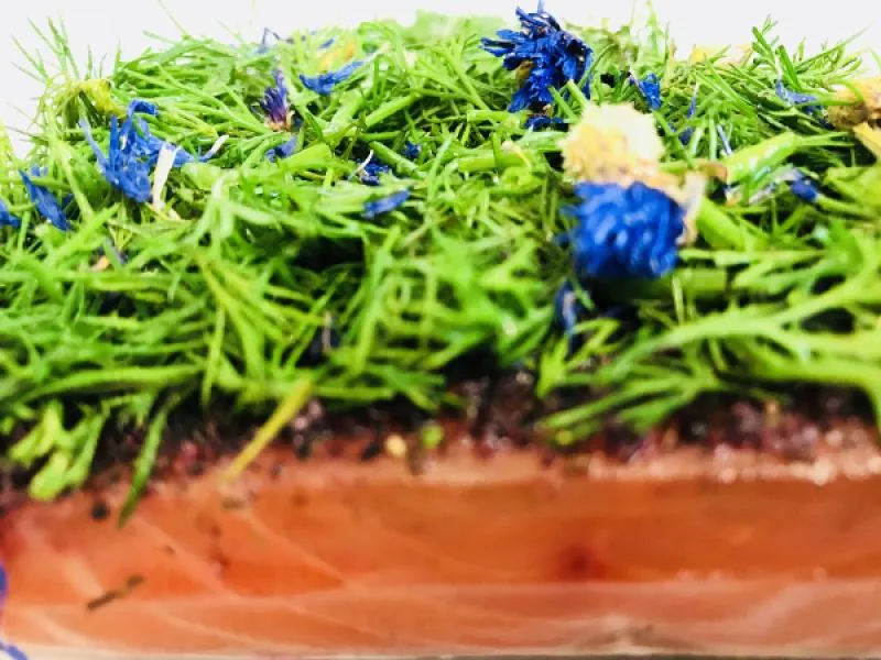 Graved Lachs (gebeizter Lachs) Nordic Arctic