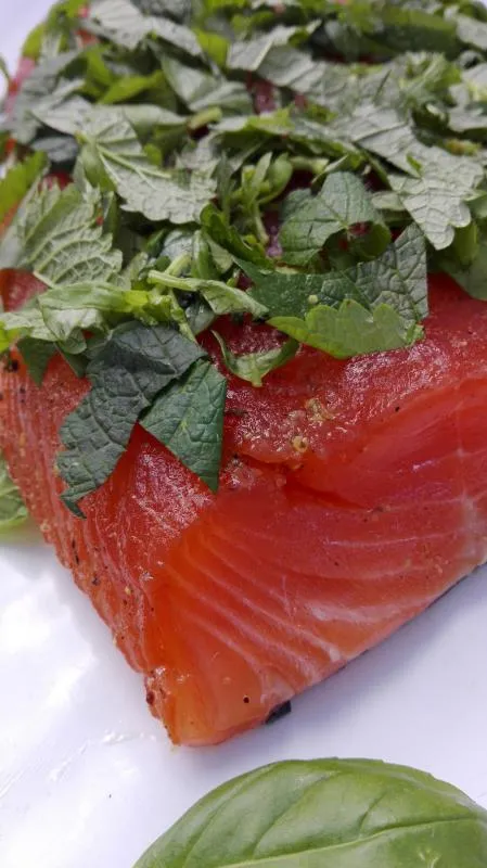 Salmon marinated with basil and lemon balm