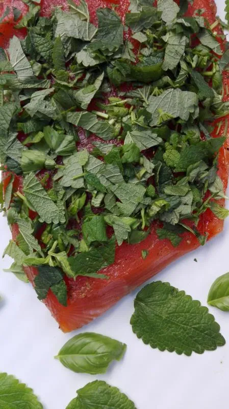 Salmon marinated with basil and lemon balm