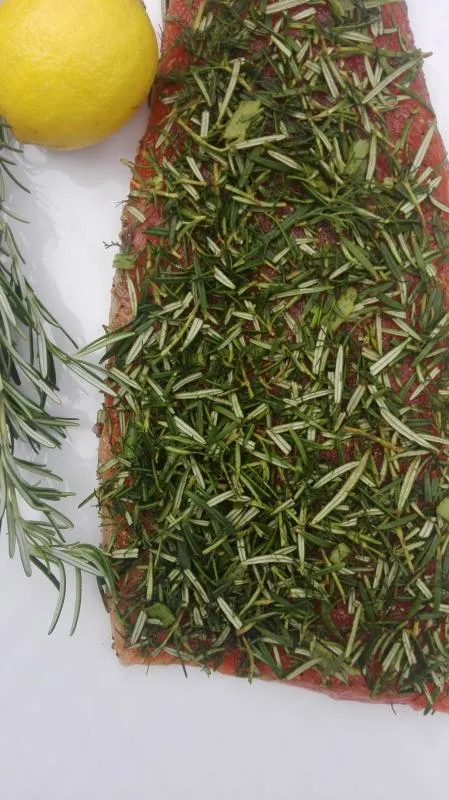 Salmon marinated with honey and fresh rosemary