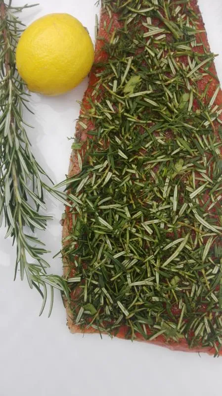 Salmon marinated with rosemary and dill