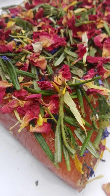 Salmon marinated with rosemary, dill and rose / nanamine