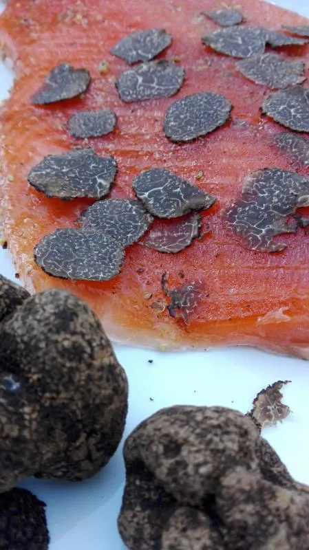 Salmon marinated black winter truffles (Tuber Indicum)