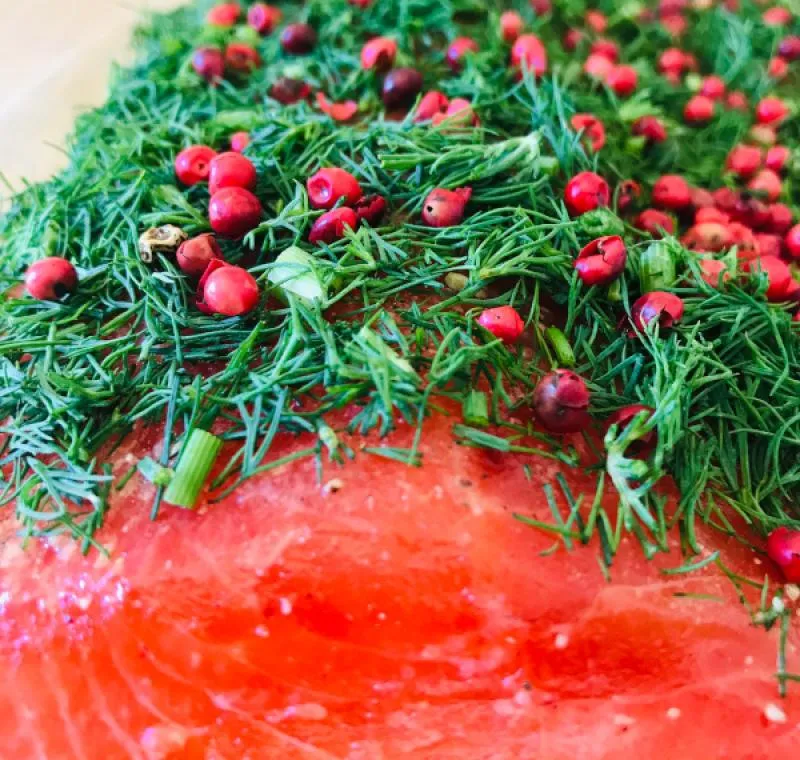 Stained (graved) salmon trout with fresh dill and pink berries