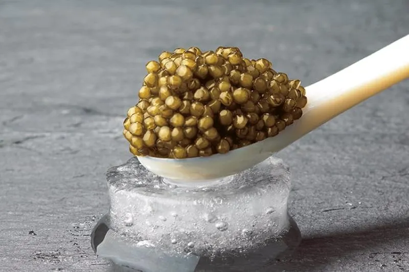 Imperial Gold Caviar | A marine delicacy! Mild and balanced.