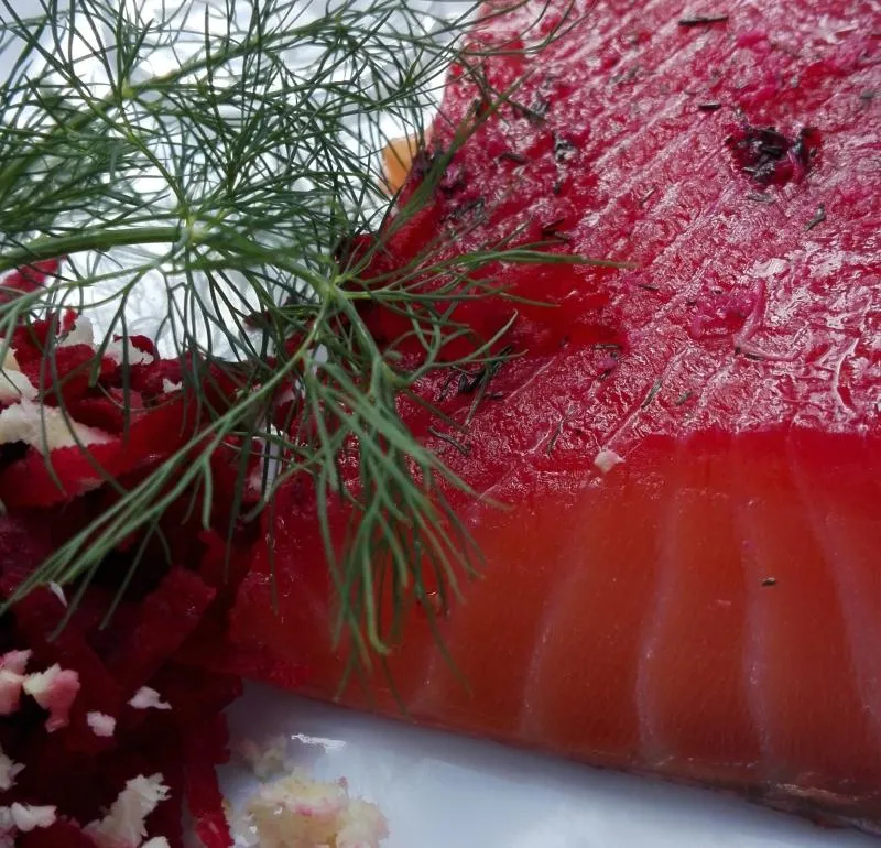 Lachsseite mariniert mit Rote Beete, Merettich und Aquavit