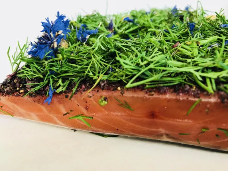 Graved Lachs Nordic Arctic – Premium Beize mit Aquavit & Dill