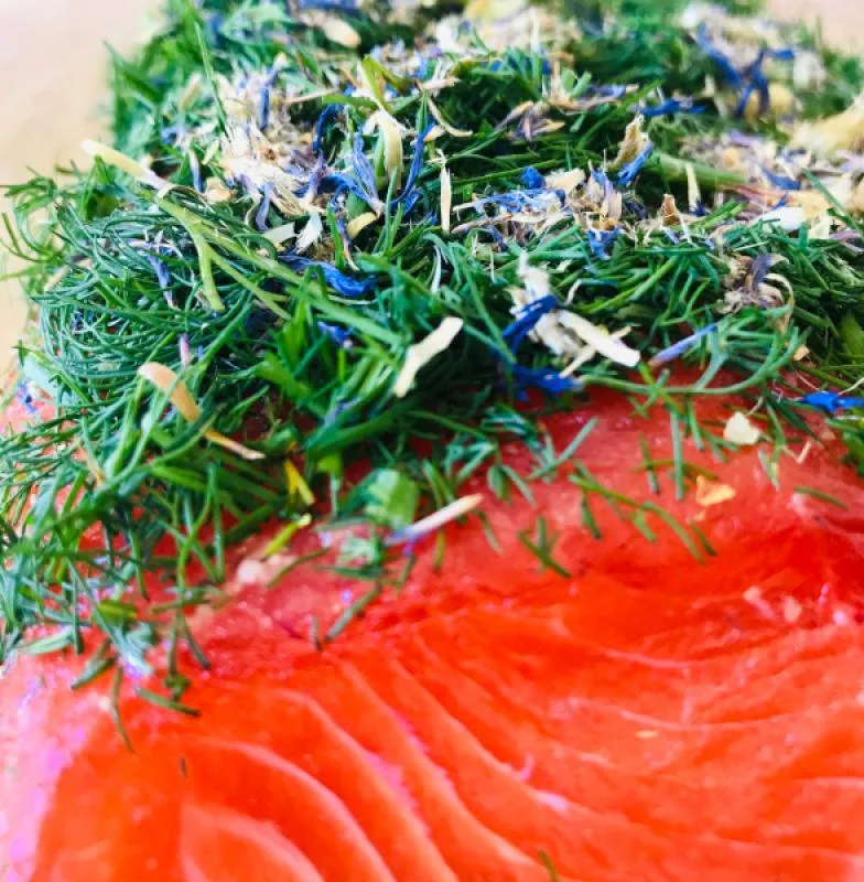 Gebeizte Fjordforelle NORDIC Arctic – 1 kg – Hamburger Fischwerker