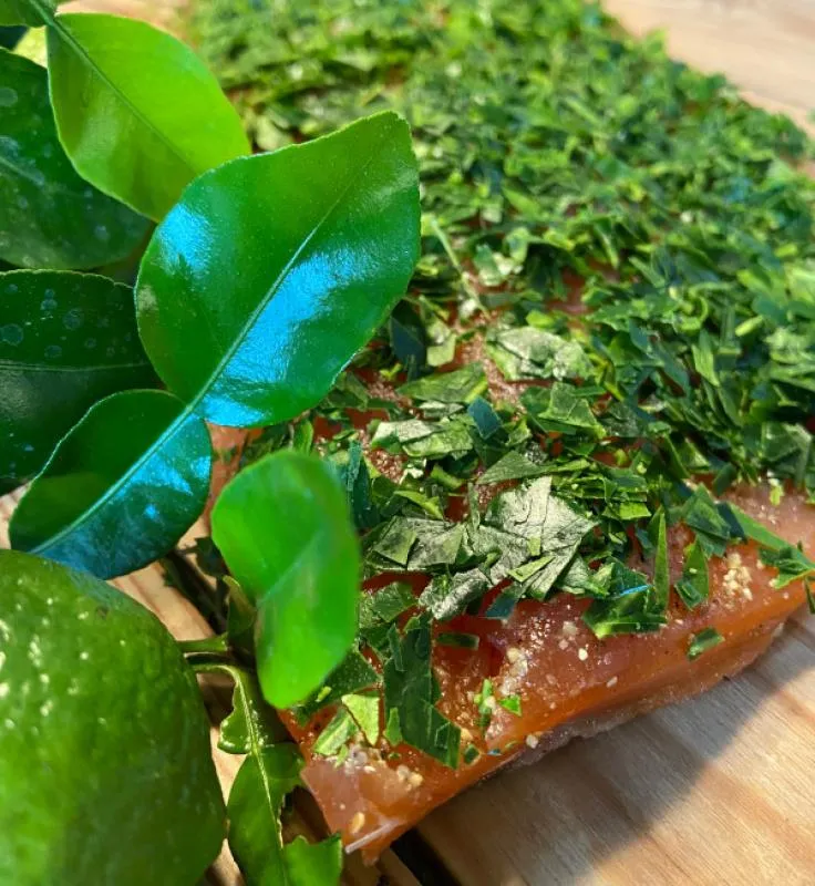 Graved salmon Kaffir lime leaves