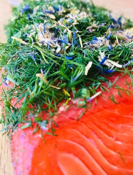 Gebeizte Fjordforelle NORDIC Arctic – 1 kg – Hamburger Fischwerker