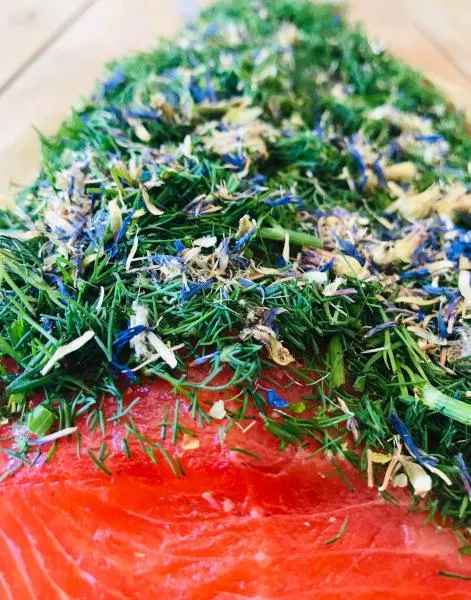 Gebeizte Fjordforelle NORDIC Arctic – 1 kg – Hamburger Fischwerker