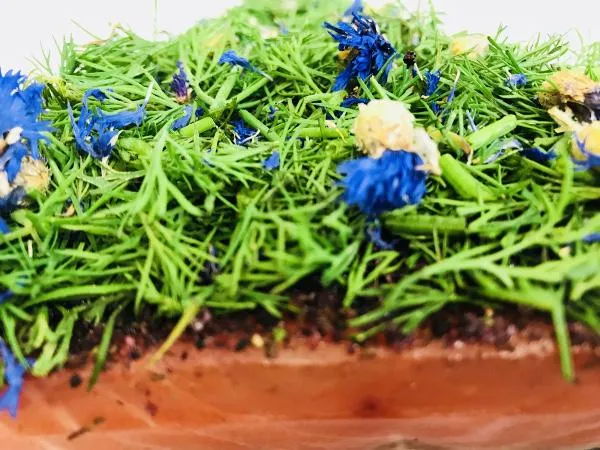 Graved Lachs Nordic Arctic – Premium Beize mit Aquavit & Dill