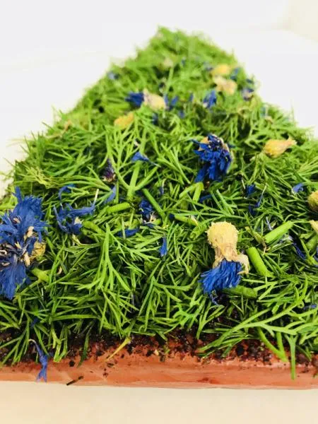 Graved Lachs Nordic Arctic – Premium Beize mit Aquavit & Dill