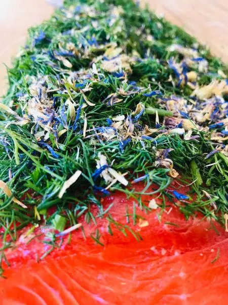 Gebeizte Fjordforelle NORDIC Arctic – 1 kg – Hamburger Fischwerker