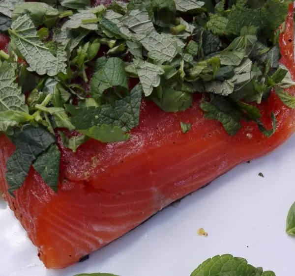 Salmon marinated with basil and lemon balm
