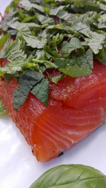 Gebeizter Lachs mit Basilikum & Zitronenmelisse – 300 g Graved Lachs