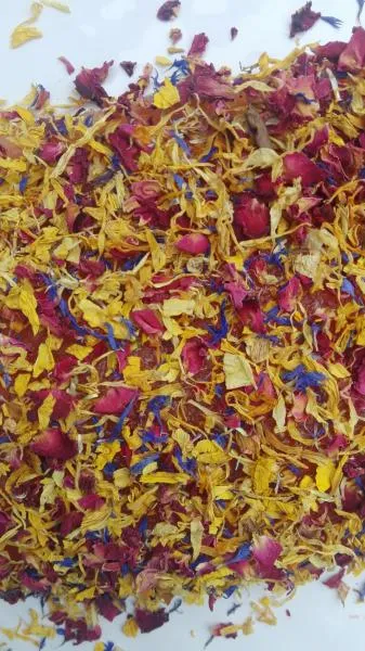 Graved Lachs mit Blütenmischung Nektar | Hamburger Fischwerker