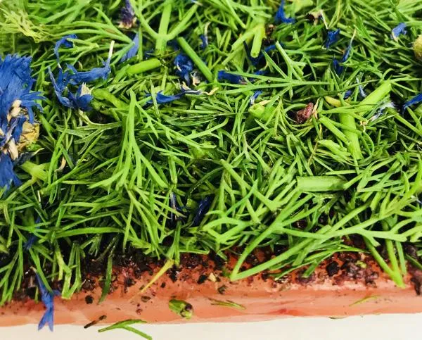 Graved Lachs Nordic Arctic – Premium Beize mit Aquavit & Dill