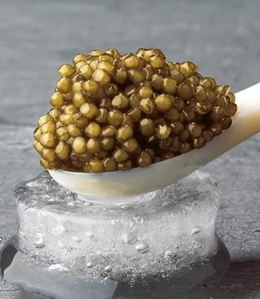 Imperial Gold Caviar | A marine delicacy! Mild and balanced.