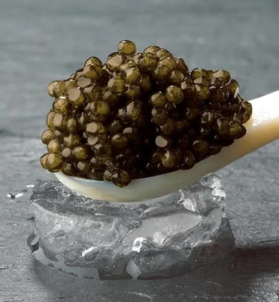 Osietra Kaviar | Nussiger Abklang| Delikater Gusto einer Brandung