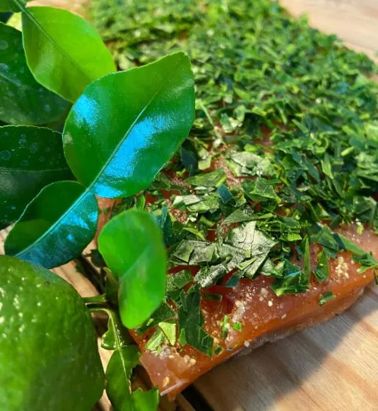 Graved salmon Kaffir lime leaves