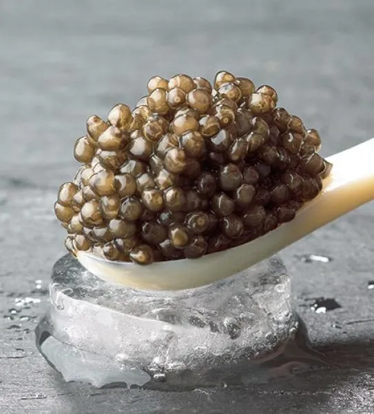 Huso Huso | Royal Beluga Caviar | Luxury Caviar. Melt creamy and tender on the tongue.